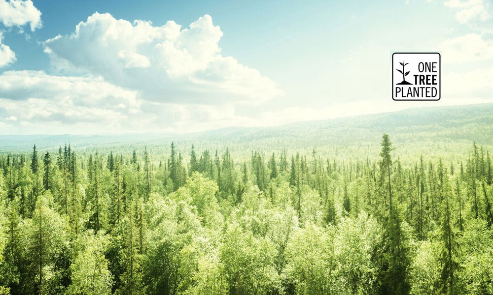 Kadoo partnership with One Tree Planted