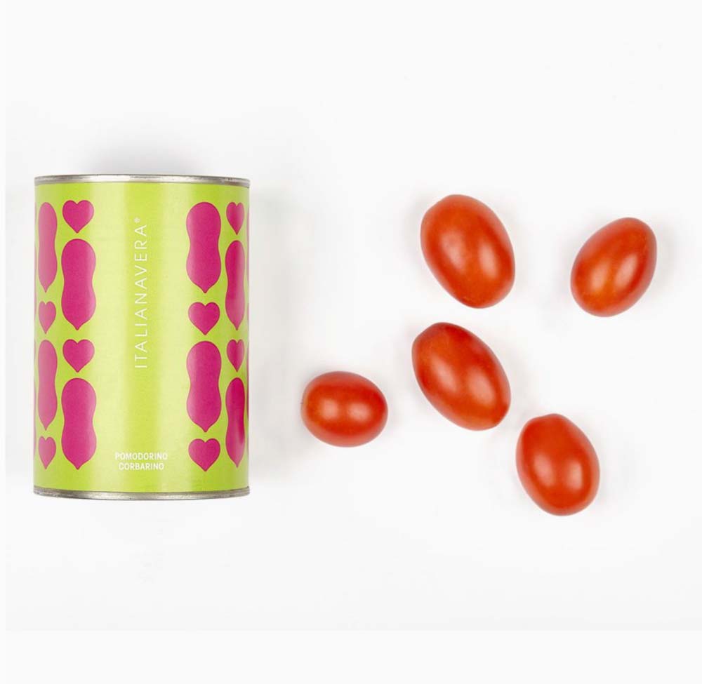 Can of Italian tomatoes with cherry tomatoes on a white background